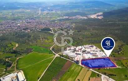 Muğla Yatağan'da Satılık Stratejik Sanayi Yatırımı