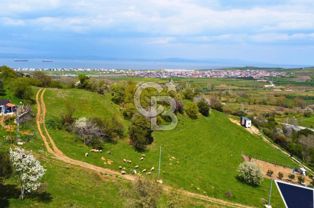 Çanakkale Lapseki'de Harika Doğa Manzaralı 295m² Köşe Arsa