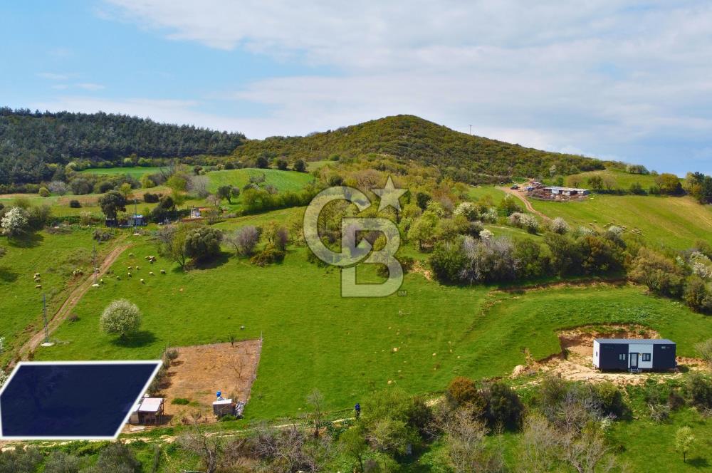 Çanakkale Lapseki'de Harika Doğa Manzaralı 295m² Köşe Arsa