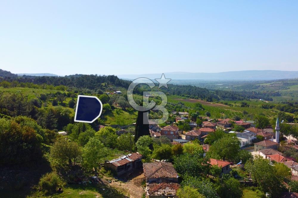 Çanakkale Lapseki'de Doğa Manzaralı %80 Köy İmarlı 890m² Arsa