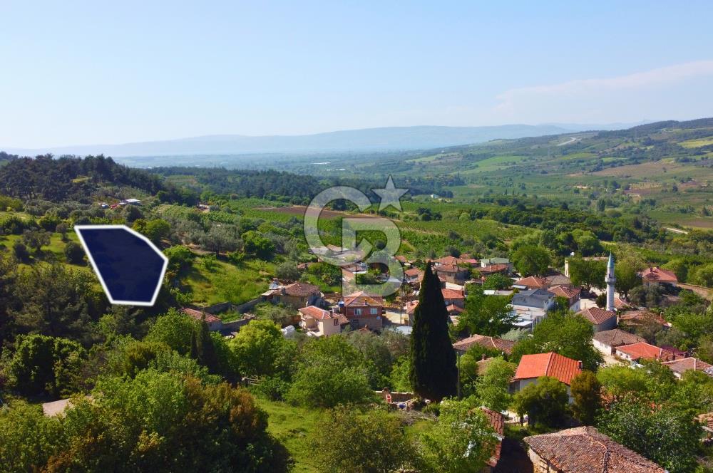 Çanakkale Lapseki'de Doğa Manzaralı %80 Köy İmarlı 890m² Arsa