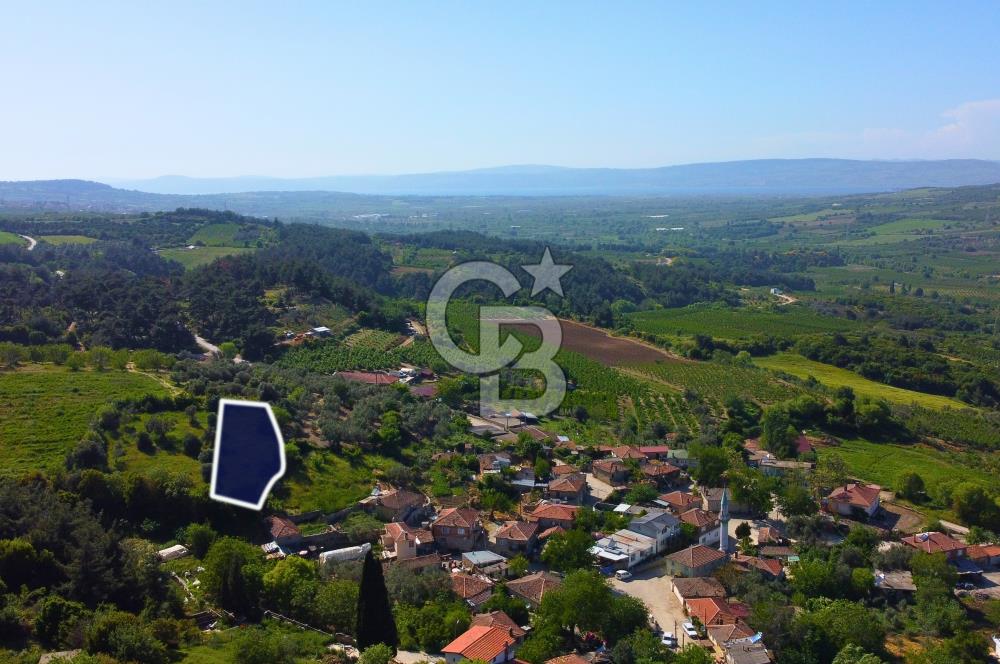 Çanakkale Lapseki'de Doğa Manzaralı %80 Köy İmarlı 890m² Arsa