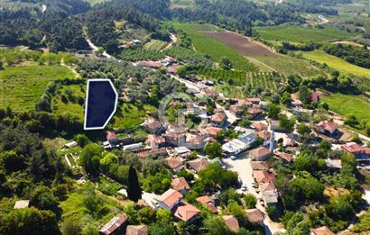 Çanakkale Lapseki'de Doğa Manzaralı %80 Köy İmarlı 890m² Arsa