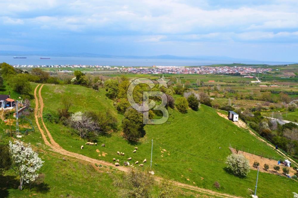 Çanakkale Lapseki'de Harika Doğa Manzaralı 295m² Köşe Arsa