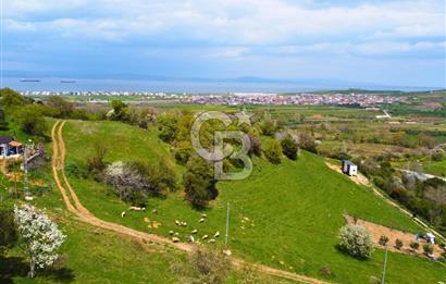 Çanakkale Lapseki'de Harika Doğa Manzaralı 295m² Köşe Arsa