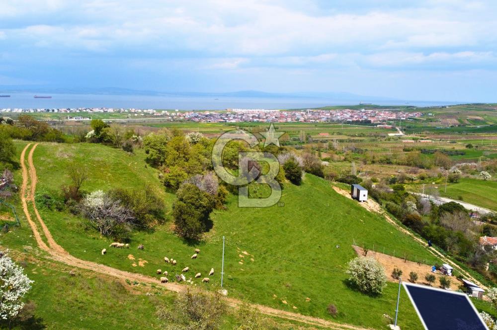 Çanakkale Lapseki'de Harika Doğa Manzaralı 295m² Köşe Arsa