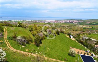 Çanakkale Lapseki'de Harika Doğa Manzaralı 295m² Köşe Arsa