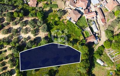Çanakkale Lapseki'de Doğa Manzaralı %80 Köy İmarlı 890m² Arsa