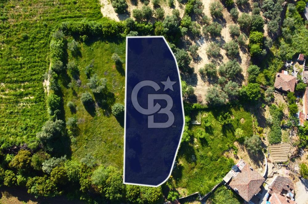 Çanakkale Lapseki'de Doğa Manzaralı %80 Köy İmarlı 890m² Arsa