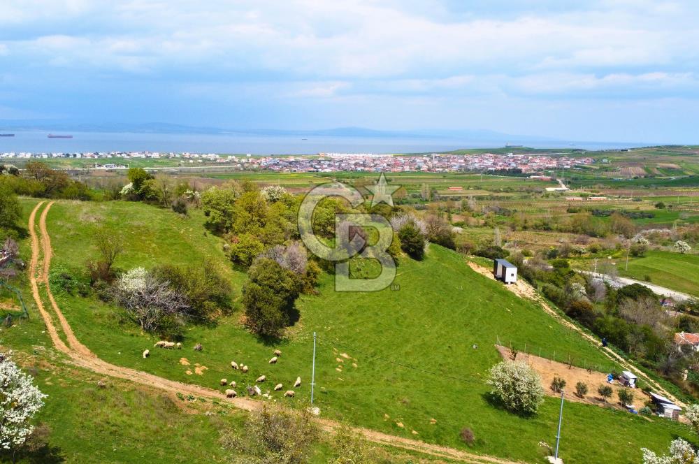 Çanakkale Lapseki'de Harika Doğa Manzaralı 295m² Köşe Arsa