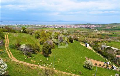 Çanakkale Lapseki'de Harika Doğa Manzaralı 295m² Köşe Arsa