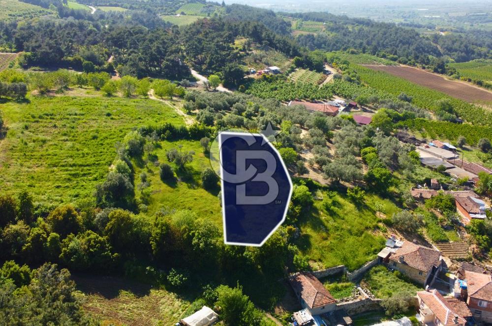 Çanakkale Lapseki'de Doğa Manzaralı %80 Köy İmarlı 890m² Arsa