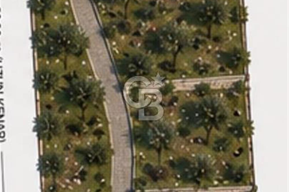 Çanakkale Lapseki'de Doğa Manzaralı %80 Köy İmarlı 890m² Arsa