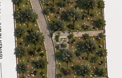 Çanakkale Lapseki'de Doğa Manzaralı %80 Köy İmarlı 890m² Arsa