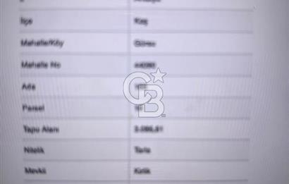 ANTALYA KAŞ GÜRSU'DA TEK TAPULU SATILIK TARLA