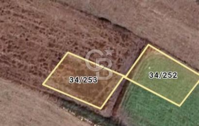 BALIKESİR KEPSUT YENİCE DE SATILIK ARSA