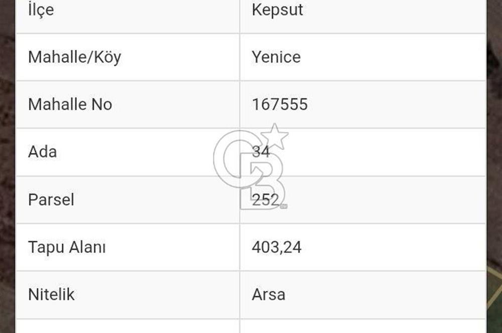 BALIKESİR KEPSUT YENİCE DE SATILIK ARSA