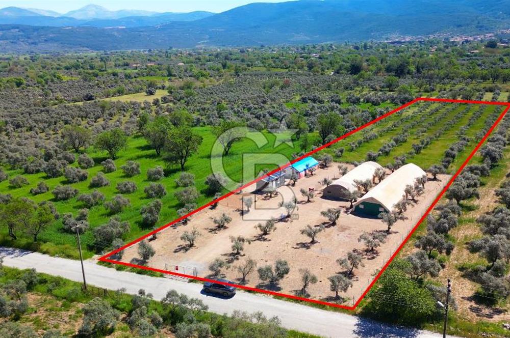 Muğla Menteşe Dağdibi Mahallesi’nde Hazır Kurulu Düzeniyle Satılık Tarla