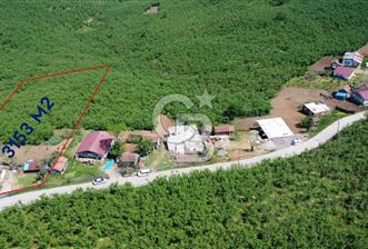 KARASU YEŞİLKÖYDE EVLİ & FINDIK BAHÇELİ - 1 - 349285