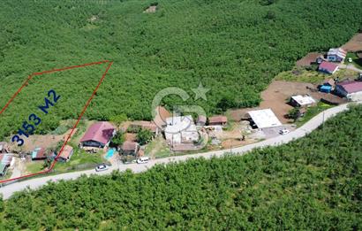 KARASU YEŞİLKÖYDE EVLİ & FINDIK BAHÇELİ