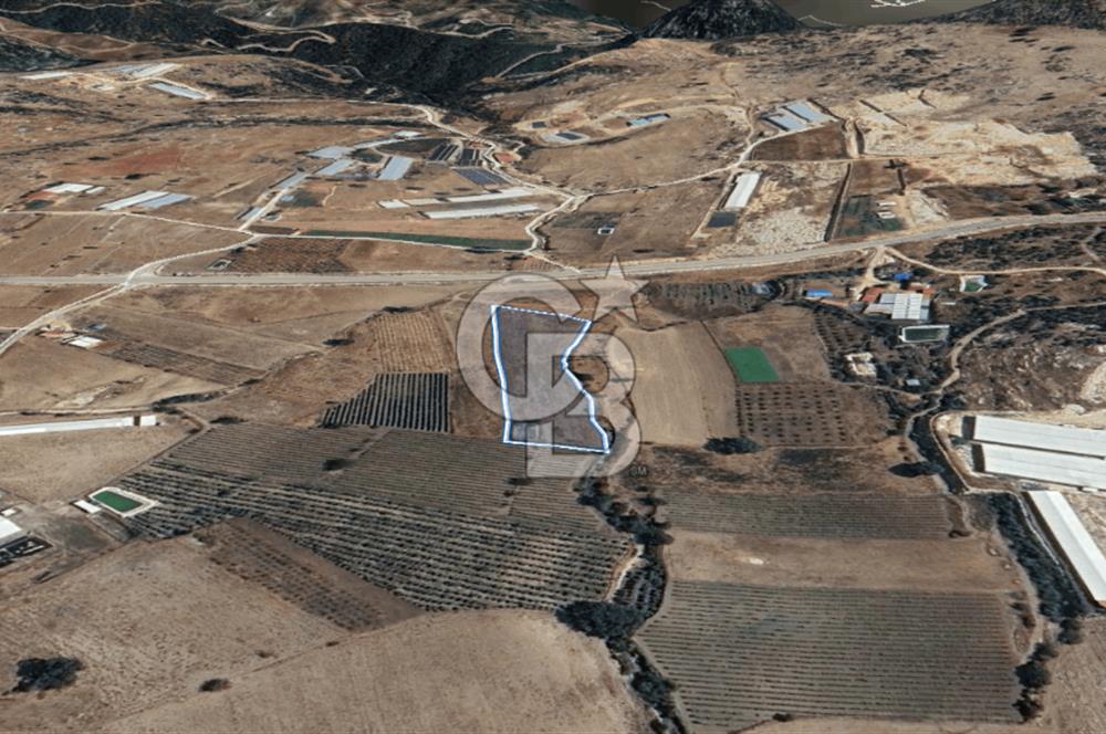 Mezitli Akarca Mah. Fındıkpınarı Yolu cepheli Satılık Arazi Tarla
