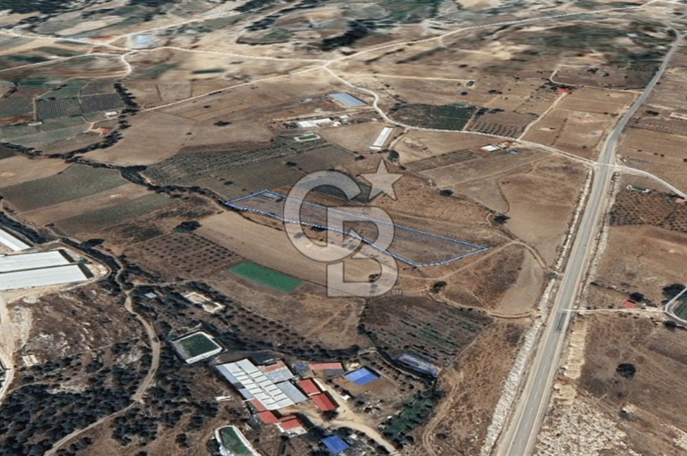 Mezitli Akarca Mah. Fındıkpınarı Yolu cepheli Satılık Arazi Tarla