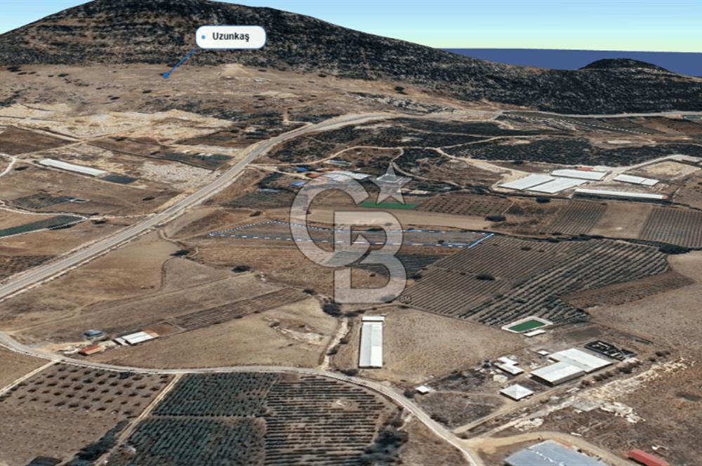 Mezitli Akarca Mah. Fındıkpınarı Yolu cepheli Satılık Arazi Tarla