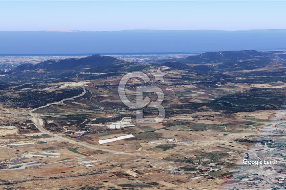 Mezitli Akarca Mah. Fındıkpınarı Yolu cepheli Satılık Arazi Tarla