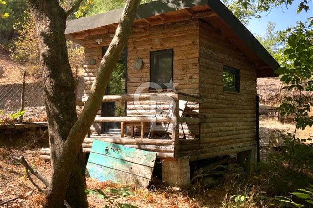 KAZDAĞLARI ASSOS'TA MASAL GİBİ EŞYALI TAŞ EV