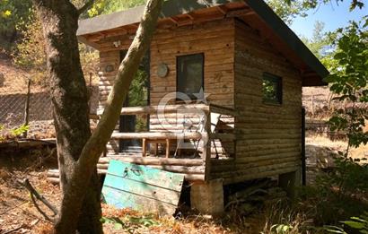 KAZDAĞLARI ASSOS'TA MASAL GİBİ EŞYALI TAŞ EV