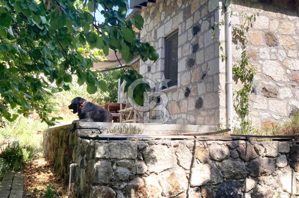 KAZDAĞLARI ASSOS'TA MASAL GİBİ EŞYALI TAŞ EV