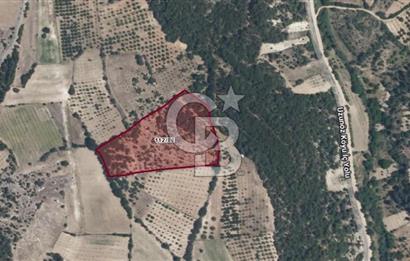BURSA KELES'TE 17.587,18 M2 TARLA