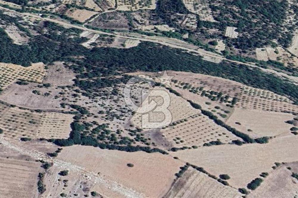 BURSA KELES'TE 17.587,18 M2 TARLA