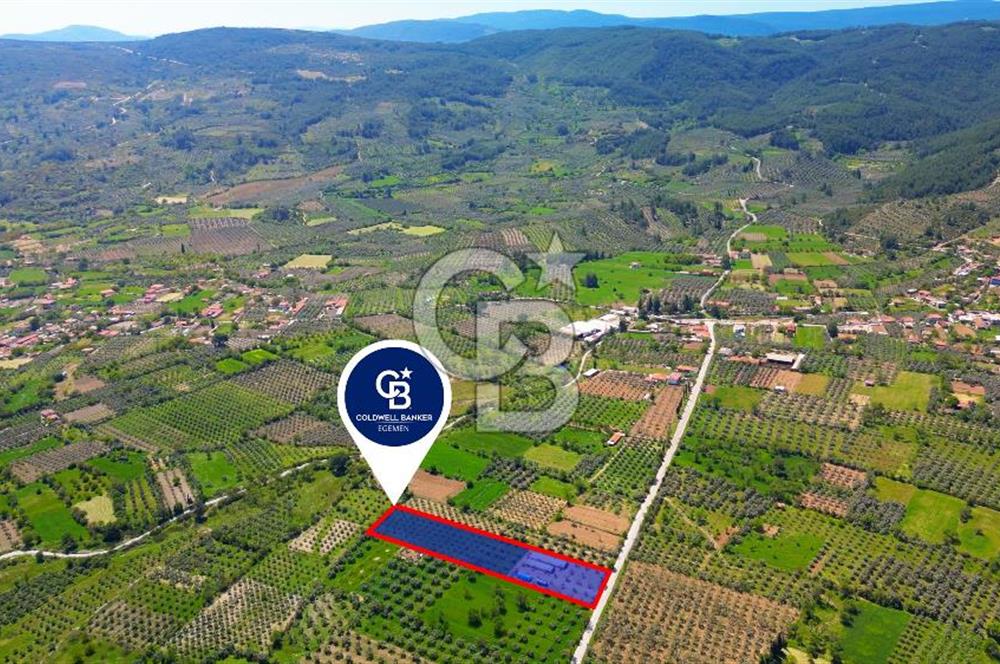 Muğla Menteşe Dağdibi Mahallesi’nde Hazır Kurulu Düzeniyle Satılık Tarla