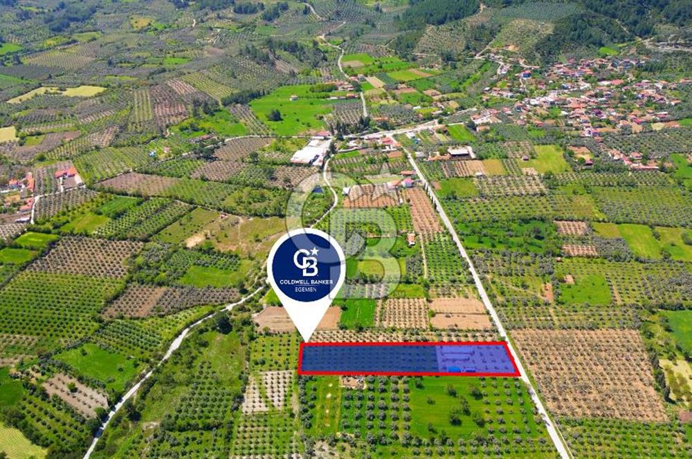 Muğla Menteşe Dağdibi Mahallesi’nde Hazır Kurulu Düzeniyle Satılık Tarla