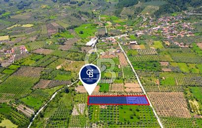 Muğla Menteşe Dağdibi Mahallesi’nde Hazır Kurulu Düzeniyle Satılık Tarla
