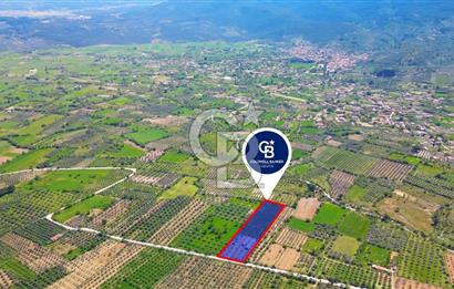 Muğla Menteşe Dağdibi Mahallesi’nde Hazır Kurulu Düzeniyle Satılık Tarla