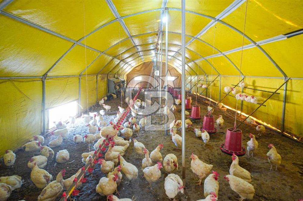 Muğla Menteşe Dağdibi Mahallesi’nde Hazır Kurulu Düzeniyle Satılık Tarla