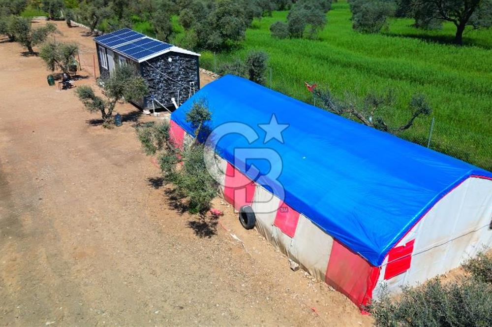 Muğla Menteşe Dağdibi Mahallesi’nde Hazır Kurulu Düzeniyle Satılık Tarla