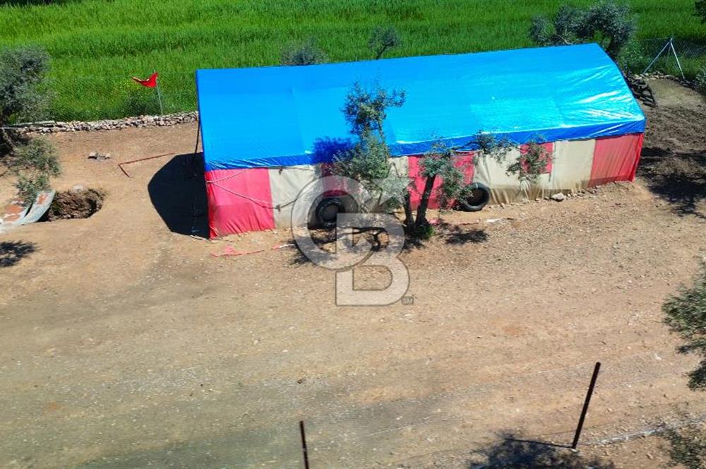 Muğla Menteşe Dağdibi Mahallesi’nde Hazır Kurulu Düzeniyle Satılık Tarla