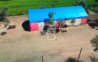 Muğla Menteşe Dağdibi Mahallesi’nde Hazır Kurulu Düzeniyle Satılık Tarla