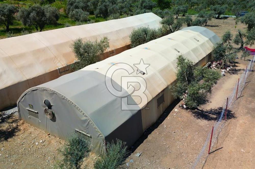 Muğla Menteşe Dağdibi Mahallesi’nde Hazır Kurulu Düzeniyle Satılık Tarla