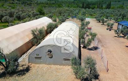 Muğla Menteşe Dağdibi Mahallesi’nde Hazır Kurulu Düzeniyle Satılık Tarla