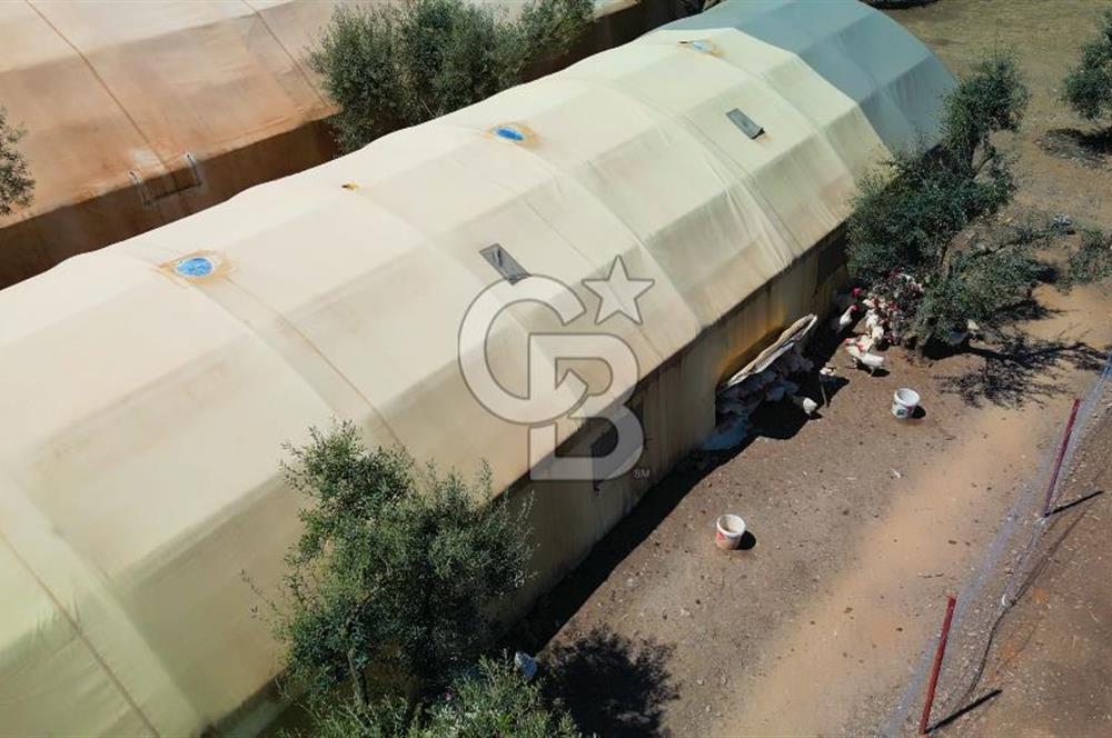 Muğla Menteşe Dağdibi Mahallesi’nde Hazır Kurulu Düzeniyle Satılık Tarla