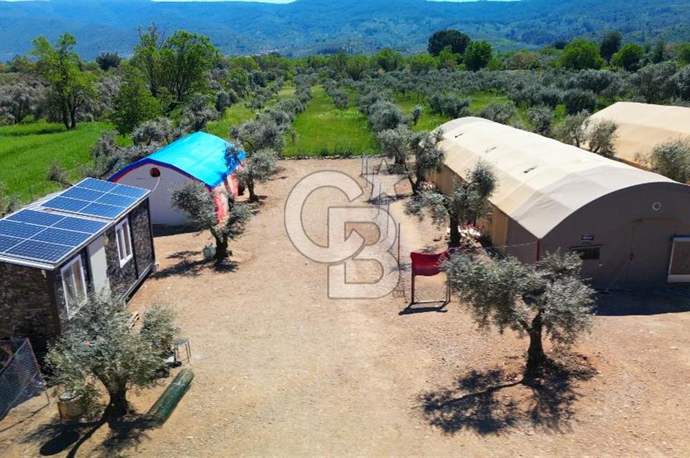 Muğla Menteşe Dağdibi Mahallesi’nde Hazır Kurulu Düzeniyle Satılık Tarla