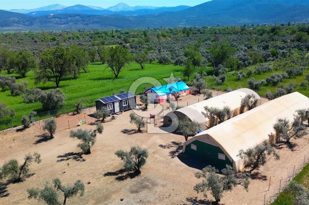 Muğla Menteşe Dağdibi Mahallesi’nde Hazır Kurulu Düzeniyle Satılık Tarla