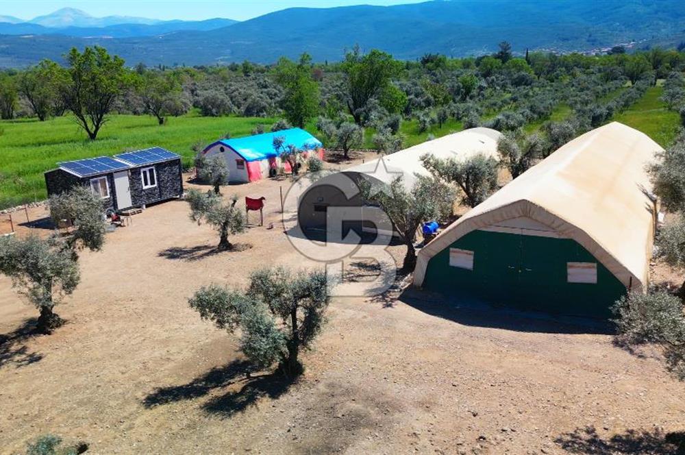 Muğla Menteşe Dağdibi Mahallesi’nde Hazır Kurulu Düzeniyle Satılık Tarla