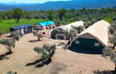 Muğla Menteşe Dağdibi Mahallesi’nde Hazır Kurulu Düzeniyle Satılık Tarla