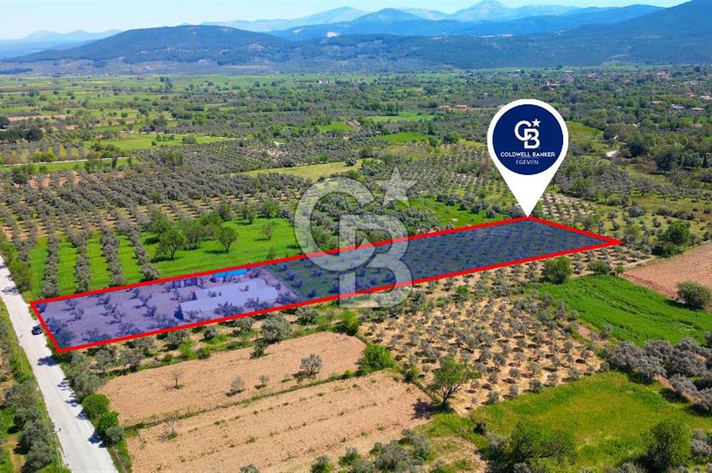 Muğla Menteşe Dağdibi Mahallesi’nde Hazır Kurulu Düzeniyle Satılık Tarla