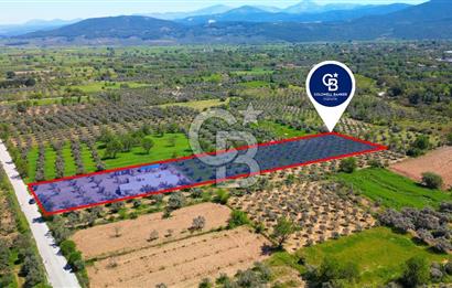 Muğla Menteşe Dağdibi Mahallesi’nde Hazır Kurulu Düzeniyle Satılık Tarla